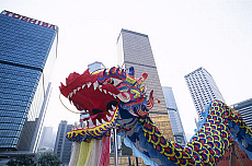 Quality stock photography from estockphoto of dragon dance