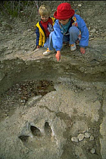 Quality stock photography from estockphoto of dinosaur track