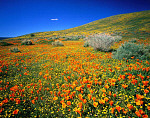 eStockPhoto Antelope Valley Travel Photos