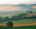 eStockPhoto Seven Hills Vineyard Travel Photos