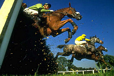 eStockPhoto Stock Photography Of Competitiveness