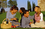 eStockPhoto Apple-blueberry Food Photos