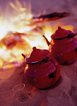 eStockPhoto Camp-fire Food Photos