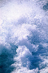 eStockPhoto Food Photos Of Sprinkling