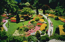eStockPhoto Travel Photos Of Butchart Gardens