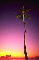 eStockPhoto Grand Anse Beach Travel Photos