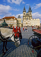 0620-206756-01
&copy; Henryk Kaiser