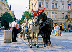 0620-206763-01
&copy; Henryk Kaiser