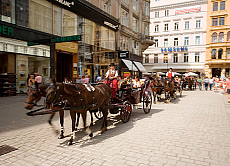 0620-207434-01
&copy; Henryk Kaiser