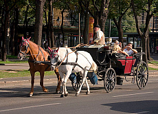 0620-207437-01
&copy; Henryk Kaiser