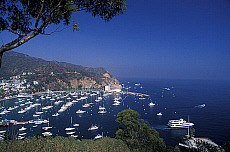 eStockPhoto Avalon Bay Travel Photos