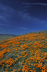 eStockPhoto Antelope Valley Travel Photos