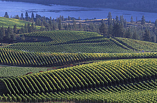 eStockPhoto Okanagan Lake Travel Photos