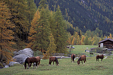 eStockPhoto Engadin Valley Travel Photos