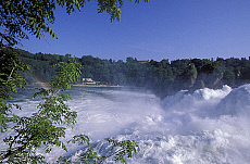 eStockPhoto Rhine Food Photos