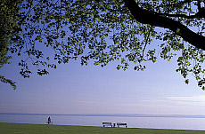 eStockPhoto Bodensee Food Photos