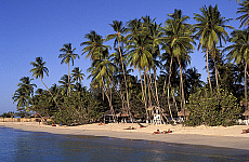 eStockPhoto Pigeon Point Beach Travel Photos