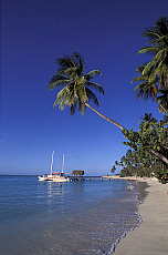eStockPhoto Pigeon Point Beach Travel Photos