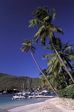 eStockPhoto Bequia Island Travel Photos