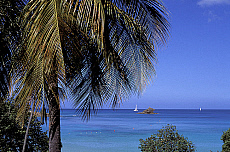 eStockPhoto Hawksbill Beach Travel Photos