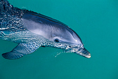 eStockPhoto Old Bahama Bay Travel Photos