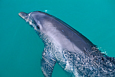 eStockPhoto Old Bahama Bay Travel Photos