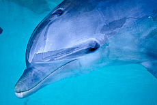 eStockPhoto Old Bahama Bay Travel Photos