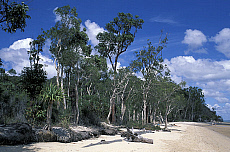 eStockPhoto Fraser Island Travel Photos