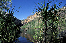 Quality stock photography from estockphoto of Kakadu
