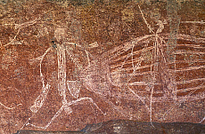 Quality stock photography from estockphoto of Kakadu