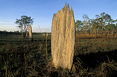 eStockPhoto Litchfield National Park Travel Photos