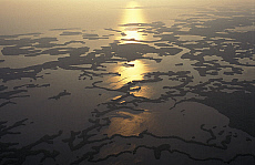 eStockPhoto Marco Island Travel Photos
