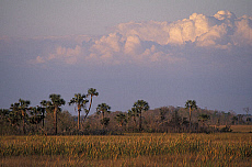 eStockPhoto Everglades National Park Travel Photos