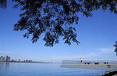 Quality stock photography from estockphoto of illinois park