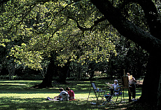eStockPhoto Roanoke Island Travel Photos
