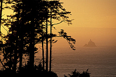 eStockPhoto Ecola State Park Travel Photos