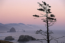 eStockPhoto Ecola State Park Travel Photos