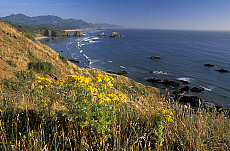 eStockPhoto Ecola State Park Travel Photos