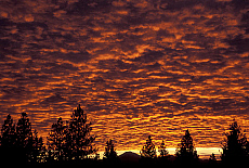 eStockPhoto Travel Photos Of Mount Bachelor
