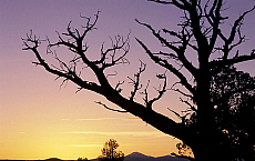 eStockPhoto Travel Photos Of Mount Bachelor