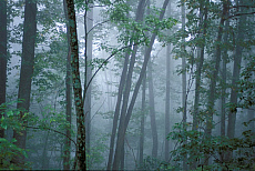 eStockPhoto Travel Photos Of Smokey Mountains