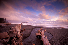 eStockPhoto Rialto Beach Travel Photos