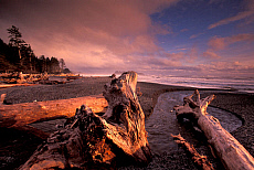 eStockPhoto Rialto Beach Travel Photos
