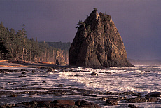 eStockPhoto Rialto Beach Travel Photos