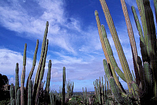 eStockPhoto Arikok National Park Travel Photos