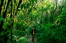 1414-220147-01
&copy; Heeb Photos