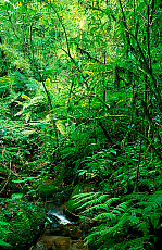 1414-220148-01
&copy; Heeb Photos