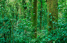 1414-220149-01
&copy; Heeb Photos