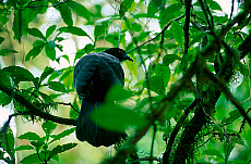1414-220151-01
&copy; Heeb Photos