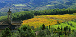 eStockPhoto Chianti Food Photos